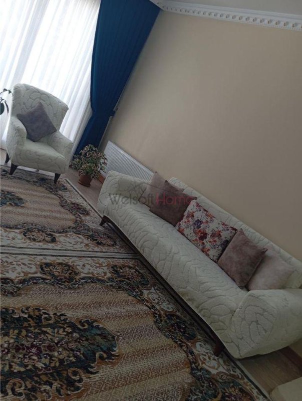 Image #1 from Pelin Z